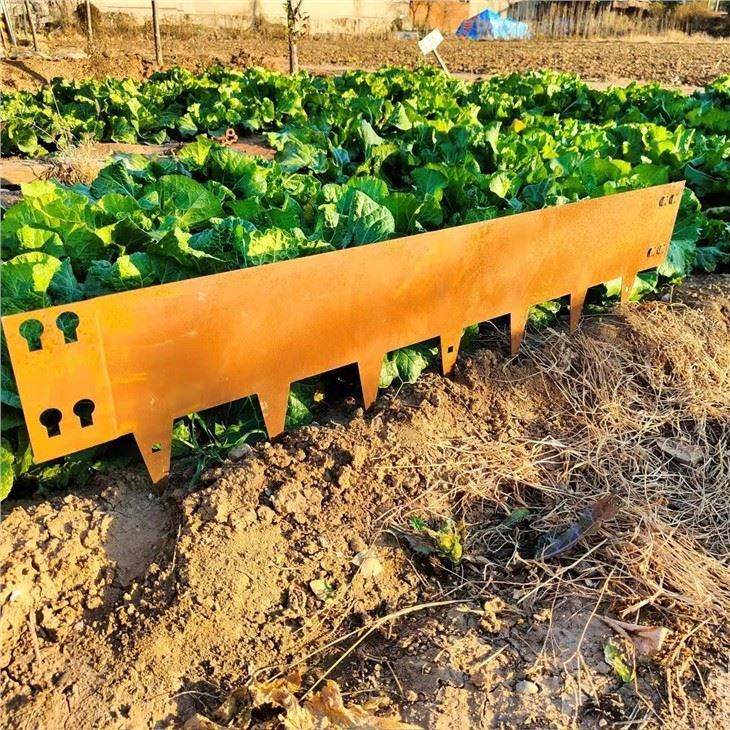 गार्डन एजिंग लॉन बॉर्डर