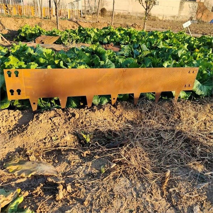 लॉन बॉर्डर गार्डन किनारा