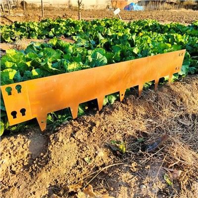 लैंडस्केप एज बॉर्डर