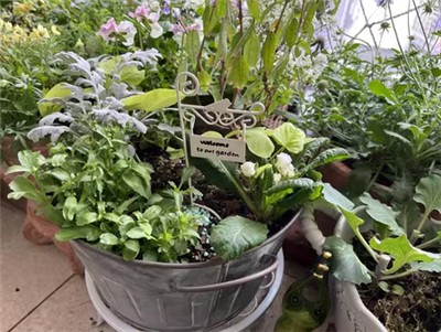 गार्डन मेटल स्टेक्स