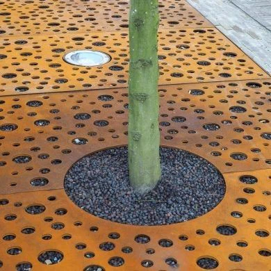 Urban Tree Protection
